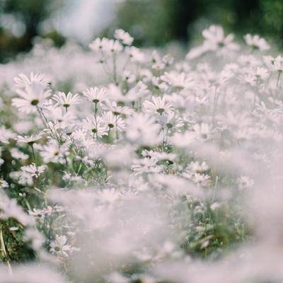 篮球体育彩票app